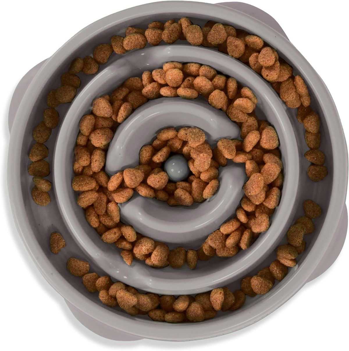 Slow Feeding (Yavaş besleme) nedir ? Neden önemlidir ?