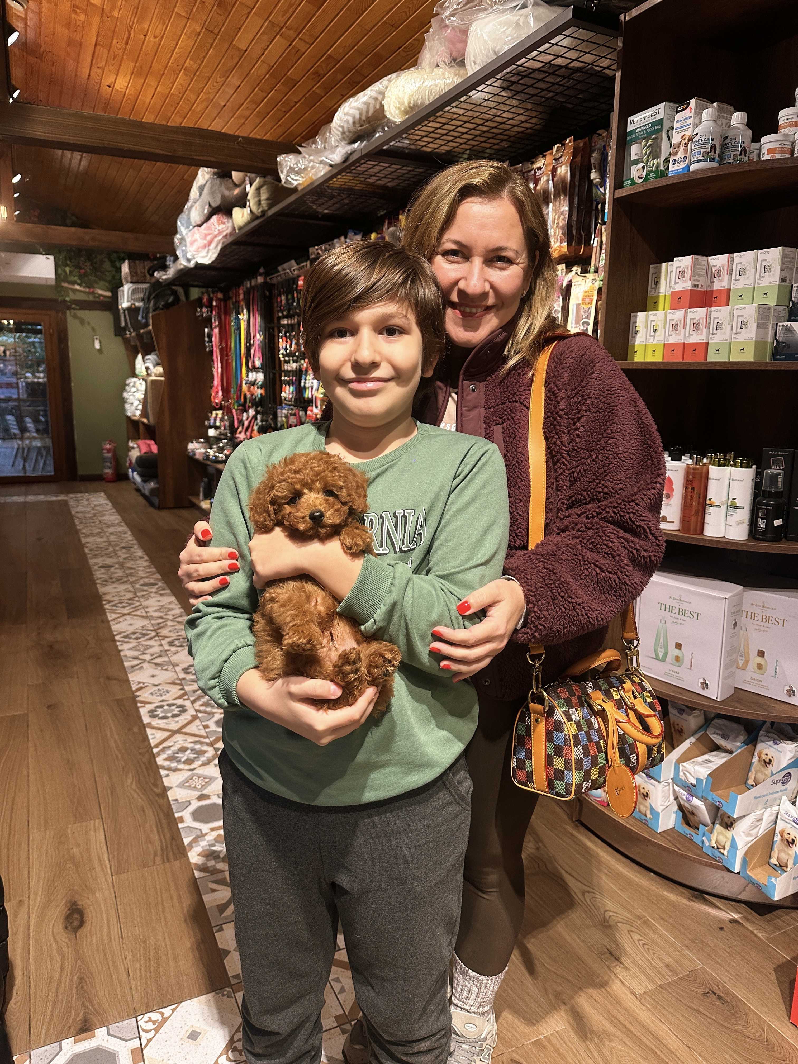 Toy poodle yavrumuz Siena yeni adıyla Vegas, Çağlayan ailesine bol şans getirsin.
